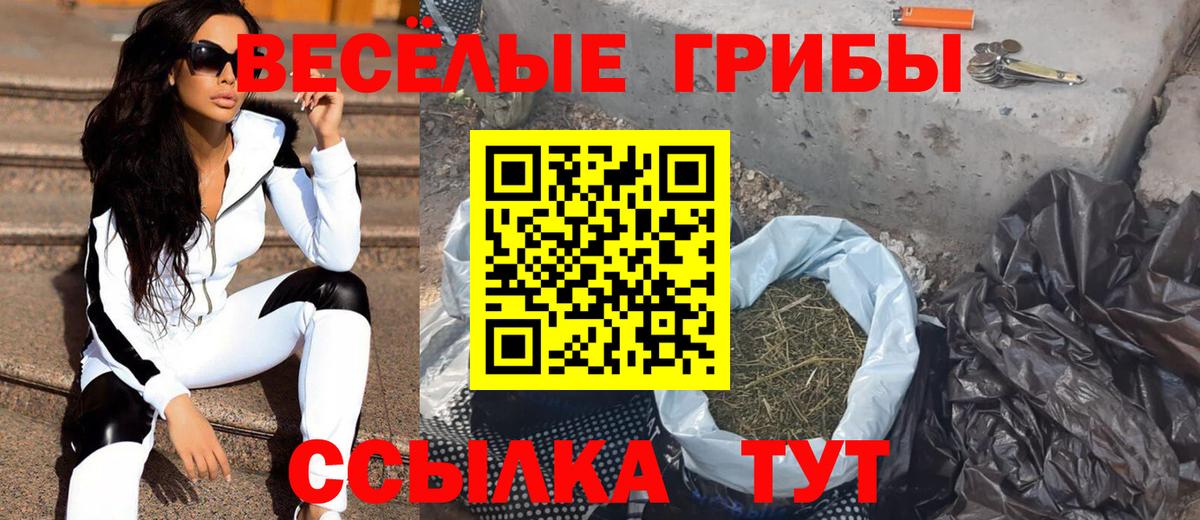 Галлюциногенные грибы GOLDEN TEACHER  Вход с VPN  купить   Жигулёвск 